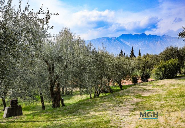 Appartamento a Malcesine - Residence Kormorano Malcesine Lake View Appartamento a Malcesine - Residence Kormorano Malcesine Lake View