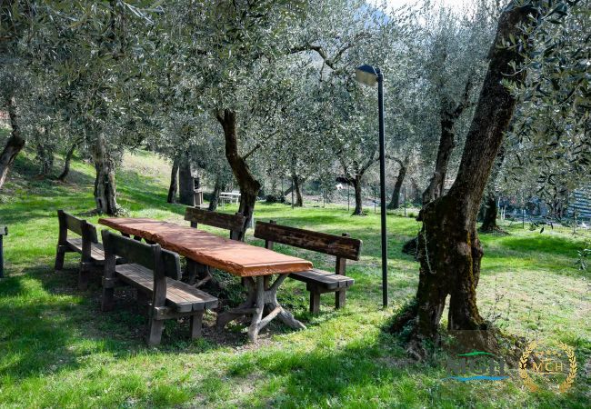 Appartamento a Malcesine - Residence Kormorano Malcesine Lake View Appartamento a Malcesine - Residence Kormorano Malcesine Lake View