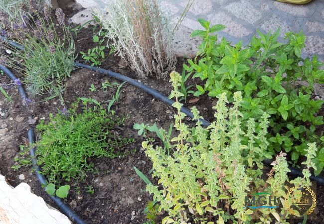 Villetta a Pacengo - Casa Linda Villetta a Pacengo - Casa Linda