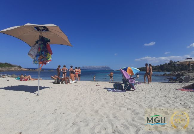 Appartamento a Golfo Aranci - Costa Smeralda Holiday Apartment T15 Appartamento a Golfo Aranci - Costa Smeralda Holiday Apartment T15