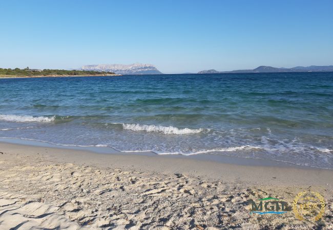 Appartamento a Golfo Aranci - Costa Smeralda Holiday Apartment T16 Appartamento a Golfo Aranci - Costa Smeralda Holiday Apartment T16