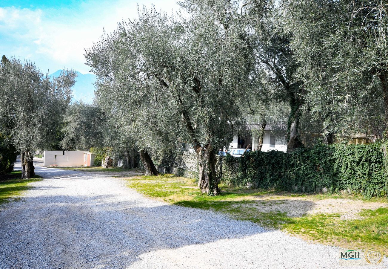 Appartamento a Malcesine - Residence Kormorano Malcesine Lake View