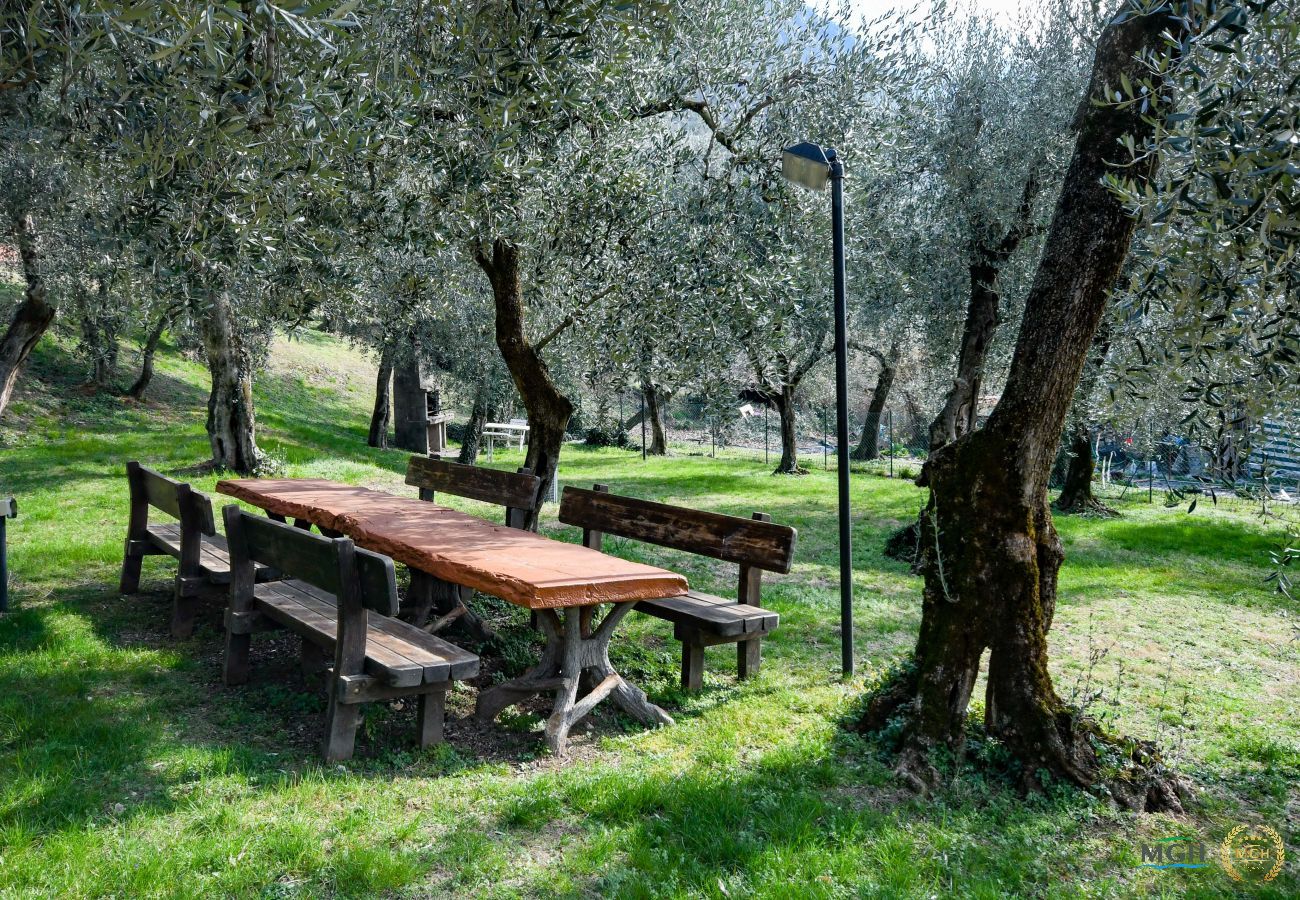 Appartamento a Malcesine - Residence Kormorano Malcesine Lake View