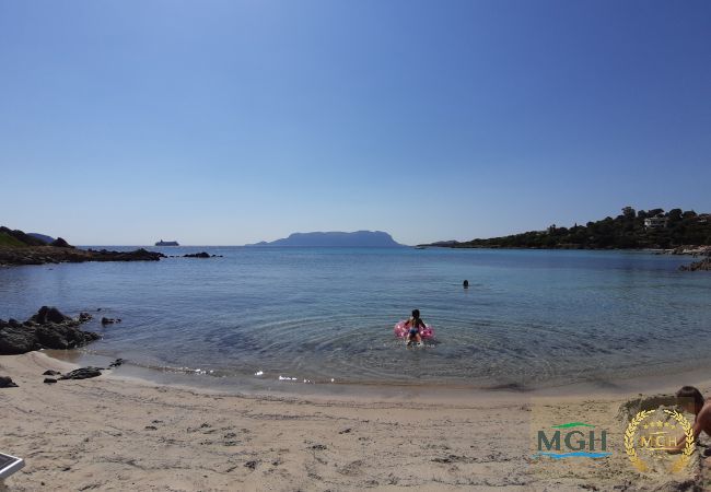 Ferienwohnung in Golfo Aranci - Costa Smeralda Holiday Apartment T16 Ferienwohnung in Golfo Aranci - Costa Smeralda Holiday Apartment T16