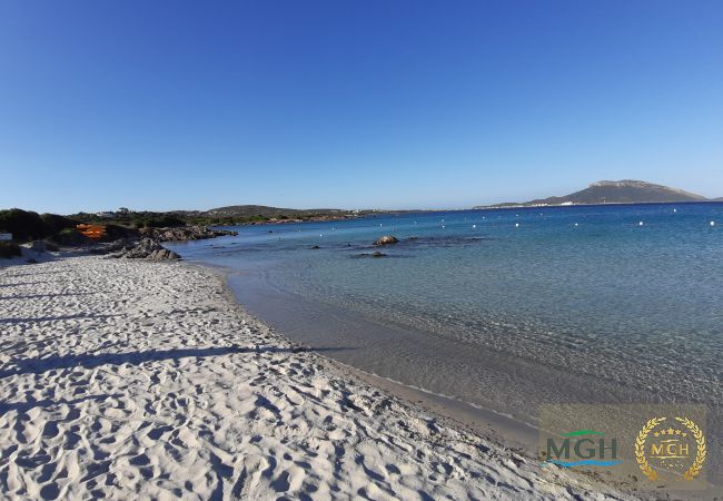 Ferienwohnung in Golfo Aranci - Costa Smeralda Holiday Apartment T16 Ferienwohnung in Golfo Aranci - Costa Smeralda Holiday Apartment T16