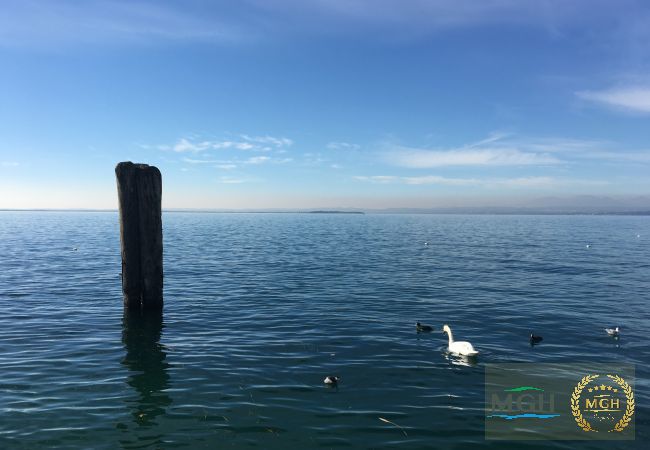Ferienwohnung in Peschiera del Garda - Appartamento Benaco Ferienwohnung in Peschiera del Garda - Appartamento Benaco