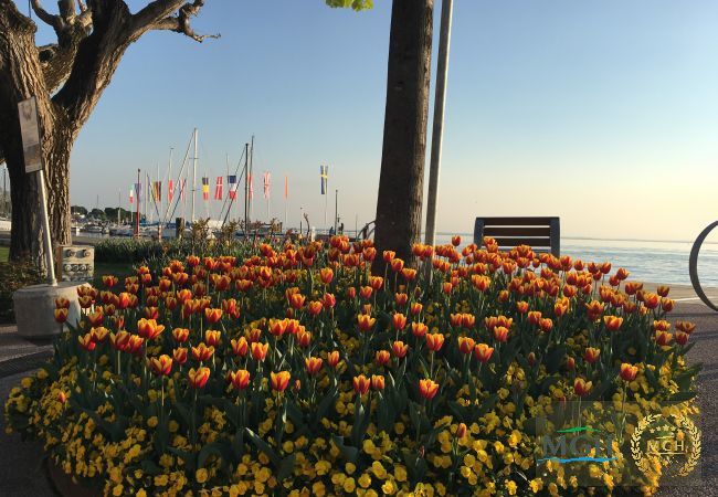 Ferienwohnung in Peschiera del Garda - Appartamento Benaco Ferienwohnung in Peschiera del Garda - Appartamento Benaco