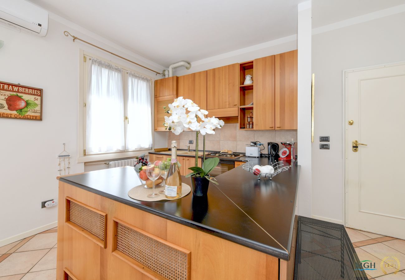 Apartment in Padenghe sul Garda - MGH - Garda Sunview Terrace Padenghe